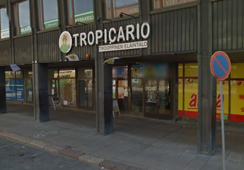 Музеи Хельсинки: Тропикарий