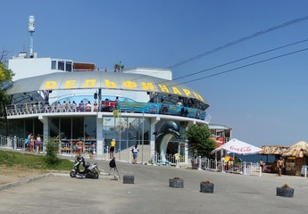 Дельфинарий Немо