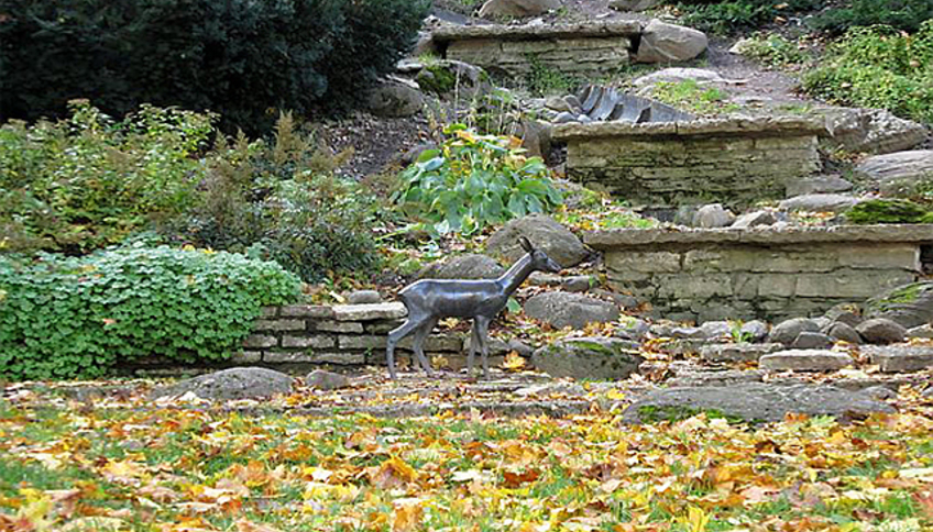 Статуя косули в Таллине